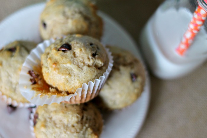 Chocolate Chip Muffins (Made With Yogurt!) - Mama Knows It All