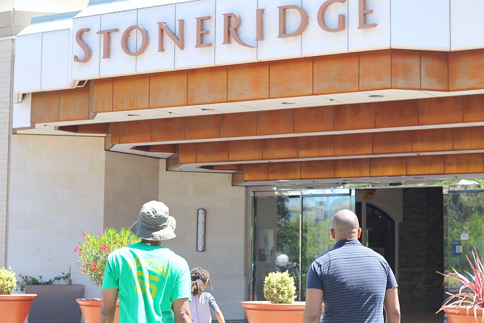 Stoneridge mall store