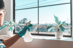 a gloved hand holding a water bottle spraying it at a window with plants sitting in front of it